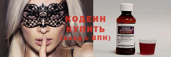 индика Баксан