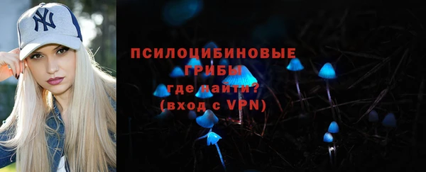 гидра Балахна