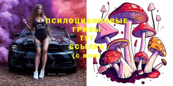 индика Баксан