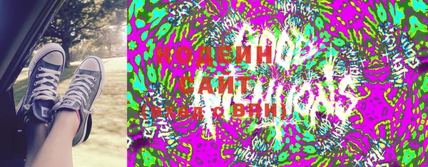индика Баксан