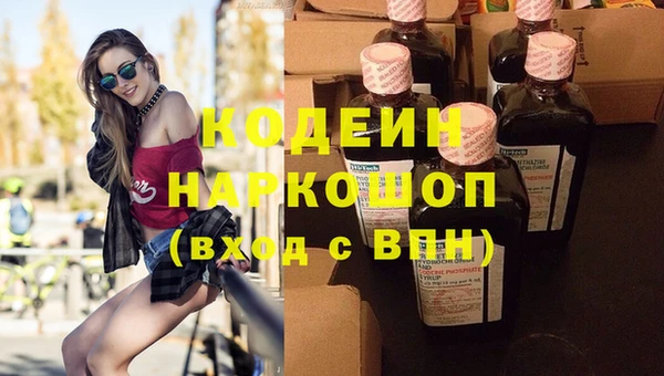 индика Баксан