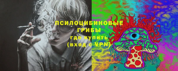 гидра Балахна