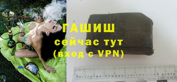 гидра Балахна