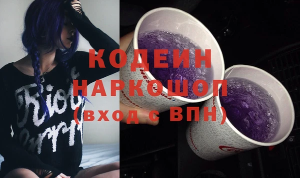 индика Баксан