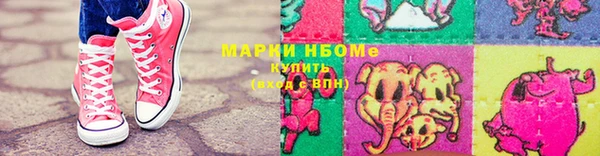 индика Баксан