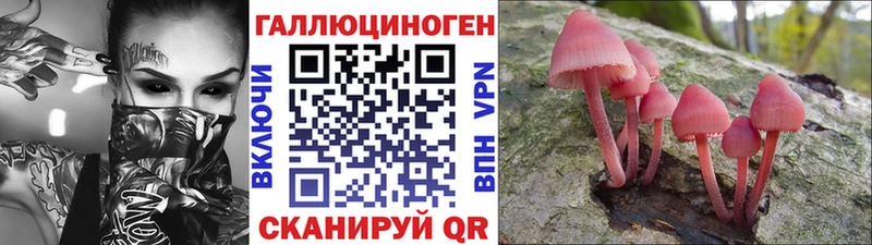 Псилоцибиновые грибы Cubensis  мега маркетплейс  Борисоглебск 