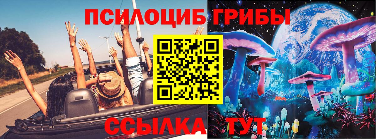 Псилоцибиновые грибы мицелий  Галлюциногенные грибы мухоморы  Вход с VPN  Борисоглебск 